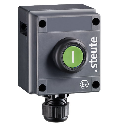 Ex Command device BF 80 1 DT 1Ö/1S -60°C Push botton, Zone 1 and 21