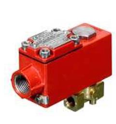 Ex Solenoid Valve 2 way 24vdc for MKT 75